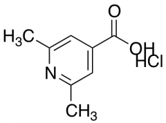 2,6-dimethylisonicotinic acid hydrochloride