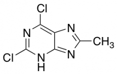 2,6-Dichloro-8-methyl-9H-purine