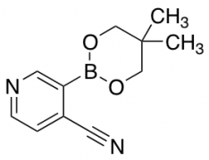 3-(5,5-dimethyl-1,3,2-dioxaborinan-2-yl)pyridine-4-carbonitrile