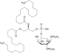 1,2-Dipalmitoyl-L-alpha-phosphatidyl-D-myo-inositol 4,5-bisphosphate