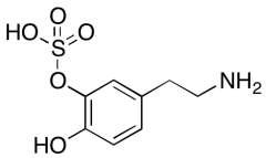 Dopamine 3-O-Sulfate