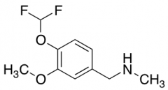 {[4-(difluoromethoxy)-3-methoxyphenyl]methyl}(methyl)amine