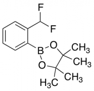 2-[2-(Difluoromethyl)phenyl]-4,4,5,5-tetramethyl-1,3,2-dioxaborolane