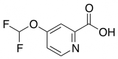 4-(Difluoromethoxy)picolinic acid