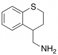 3,4-Dihydro-2H-1-benzothiopyran-4-ylmethanamine