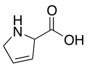 2,5-Dihydro-1H-pyrrole-2-carboxylic acid
