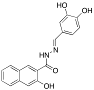 Dynamin Inhibitor I, Dynasore
