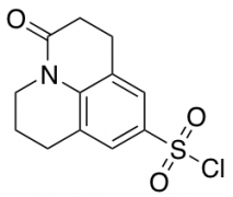 2-oxo-1-azatricyclo[7.3.1.0,5,13]trideca-5,7,9(13)-triene-7-sulfonyl chloride