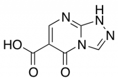 5-oxo-1H,5H-[1,2,4]triazolo[4,3-a]pyrimidine-6-carboxylic acid