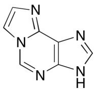 1,N6-Ethenoadenine
