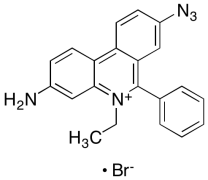 Ethidium Bromide Monoazide