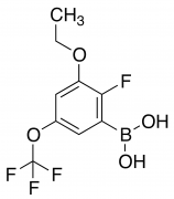 3-Ethoxy-2-fluoro-5-(trifluoromethoxy)phenylboronic acid
