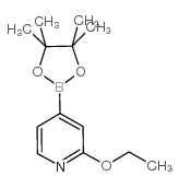 2-Ethoxypyridine-4-boronic acid, pinacol ester