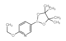 2-Ethoxypyridine-5-boronic Acid Pinacol Ester