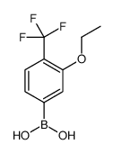3-Ethoxy-4-(trifluoromethyl)phenylboronic Acid