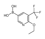 6-Ethoxy-5-(trifluoromethyl)-3-pyridinyl boronic acid