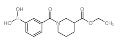 3-(3-(Ethoxycarbonyl)piperidine-1-carbonyl)phenylboronic acid
