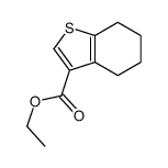 Ethyl 4,5,6,7-tetrahydro-1-benzothiophene-3-carboxylate