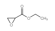Ethyl 2,3-epoxypropanoate