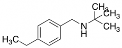 N-(4-ethylbenzyl)-2-methyl-2-propanamine