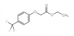 Ethyl 2-[4-(trifluoromethyl)phenoxy]acetate