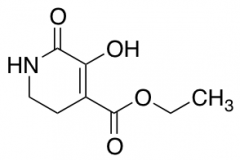 Ethyl 5-Hydroxy-6-oxo-1,2,3,6-tetrahydro-4-pyridinecarboxylate