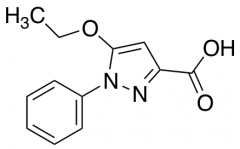 5-Ethoxy-1-phenyl-1H-pyrazole-3-carboxylic Acid