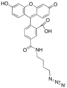 6-FAM-Azide