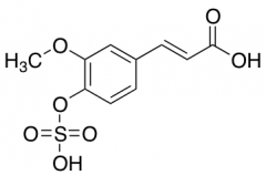 Ferulic Acid 4-O-sulfate