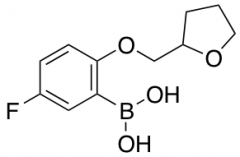 [5-fluoro-2-(oxolan-2-ylmethoxy)phenyl]boronic acid