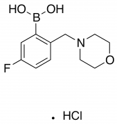 5-Fluoro-2-(morpholinomethyl)phenylboronic acid, hydrochloride