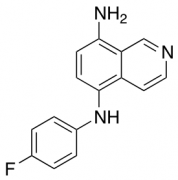 5-N-(4-Fluorophenyl)isoquinoline-5,8-diamine