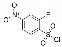 2-Fluoro-4-nitrobenzene-1-sulfonyl chloride