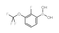 2-Fluoro-3-(trifluoromethoxy)phenylboronic acid