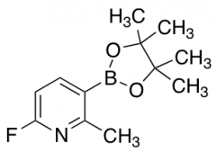 6-Fluoro-2-Methyl-3-(4,4,5,5-Tetramethyl-1,3,2-Dioxaborolan-2-Yl)Pyridine