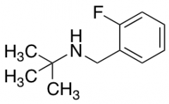 N-(2-fluorobenzyl)-2-methyl-2-propanamine Hydrochloride