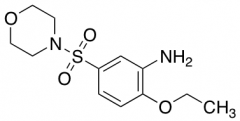2-Ethoxy-5-(morpholine-4-sulfonyl)aniline