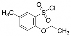 2-Ethoxy-5-methylbenzenesulfonyl Chloride