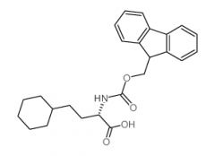 Fmoc-L-homocyclohexylalanine
