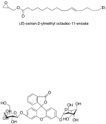 Fluorescein Di(&beta;-D-galactopyranoside)