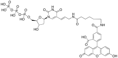 Fluorescein-dUTP