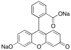 Fluorescein Sodium Salt