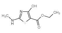 Ethyl 4-hydroxy-2-methylaminothiazole-5-carboxylate