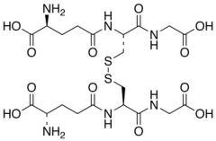 Glutathione Disulfide