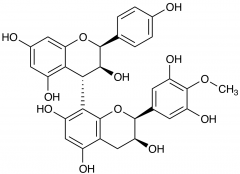 Grape seed extract (Technical Grade)
