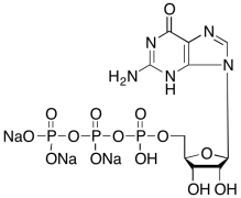 Guanosine-5'-triphosphate Trisodium Salt