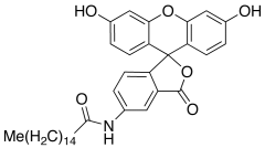 5-(Hexadecanoylamino)fluorescein