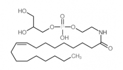 Glycerophospho-N-Oleoyl Ethanolamine