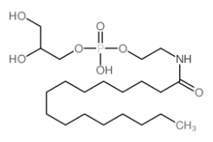 Glycerophospho-N-Palmitoyl Ethanolamine