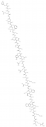 Glucagon-Like Peptide 1 (7-36) Amide